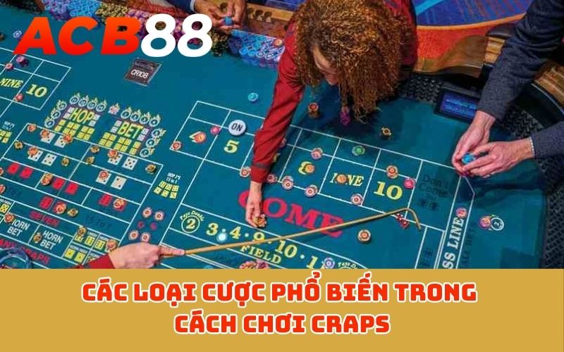 Các loại cược phổ biến trong cách chơi Craps